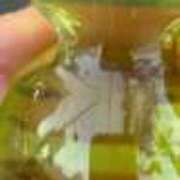 ヒメ日記 2025/07/29 19:20 投稿 みさと 川崎・蒲田おかあさん