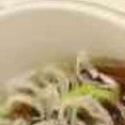 ヒメ日記 2025/08/28 00:50 投稿 みさと 川崎・蒲田おかあさん