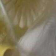 ヒメ日記 2025/09/08 23:50 投稿 みさと 川崎・蒲田おかあさん