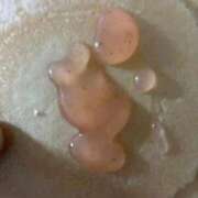 ヒメ日記 2025/09/27 22:20 投稿 みさと 川崎・蒲田おかあさん