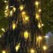 ヒメ日記 2025/12/13 02:40 投稿 みさと 川崎・蒲田おかあさん