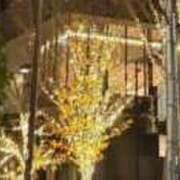 ヒメ日記 2025/12/19 22:01 投稿 みさと 川崎・蒲田おかあさん