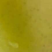 ヒメ日記 2025/12/20 02:00 投稿 みさと 川崎・蒲田おかあさん