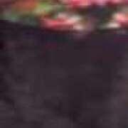 ヒメ日記 2026/01/02 16:50 投稿 みさと 川崎・蒲田おかあさん