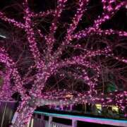 ヒメ日記 2026/01/19 20:30 投稿 みさと 川崎・蒲田おかあさん