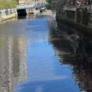 ヒメ日記 2026/01/22 23:50 投稿 みさと 川崎・蒲田おかあさん