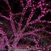 ヒメ日記 2026/01/25 00:20 投稿 みさと 川崎・蒲田おかあさん