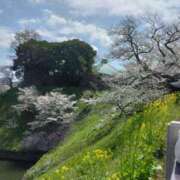 ヒメ日記 2025/04/07 09:20 投稿 みすず 川崎・蒲田おかあさん