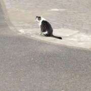 ヒメ日記 2025/08/27 12:00 投稿 みすず 川崎・蒲田おかあさん