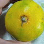 ヒメ日記 2025/10/14 14:50 投稿 みすず 川崎・蒲田おかあさん