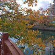 ヒメ日記 2025/11/12 09:53 投稿 みすず 川崎・蒲田おかあさん