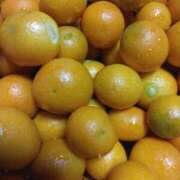 ヒメ日記 2025/12/22 12:20 投稿 みすず 川崎・蒲田おかあさん