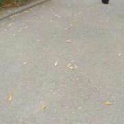 ヒメ日記 2026/01/09 15:50 投稿 みすず 川崎・蒲田おかあさん