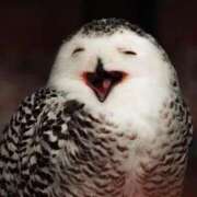 ヒメ日記 2025/09/04 08:20 投稿 ゆま 川崎・蒲田おかあさん