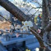 ヒメ日記 2026/01/10 08:20 投稿 ゆま 川崎・蒲田おかあさん