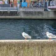 ヒメ日記 2026/01/19 17:20 投稿 ゆま 川崎・蒲田おかあさん