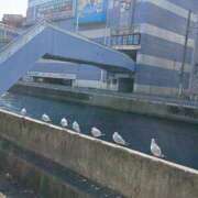 ヒメ日記 2026/01/22 08:20 投稿 ゆま 川崎・蒲田おかあさん