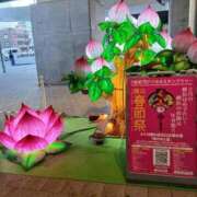 ヒメ日記 2026/01/30 08:50 投稿 ゆま 川崎・蒲田おかあさん