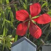 ヒメ日記 2025/09/12 07:50 投稿 わかな 川崎・蒲田おかあさん