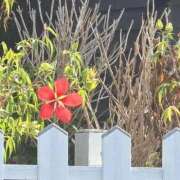 ヒメ日記 2025/09/12 12:27 投稿 わかな 川崎・蒲田おかあさん