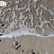 ヒメ日記 2025/12/07 10:01 投稿 わかな 川崎・蒲田おかあさん