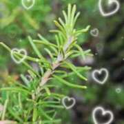 ヒメ日記 2026/01/24 09:40 投稿 わかな 川崎・蒲田おかあさん