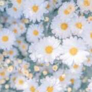 ヒメ日記 2025/02/14 14:52 投稿 榎本美咲 プルデリR40