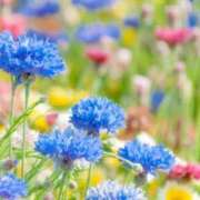 ヒメ日記 2025/03/12 17:08 投稿 榎本美咲 プルデリR40滋賀店