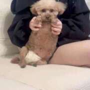 ヒメ日記 2026/02/09 14:05 投稿 七瀬なの 池袋手コキパラダイス　見習い天使とイタズラ小悪魔