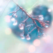 ヒメ日記 2025/03/16 13:45 投稿 こころ アドミsince2002立川デリヘル&Go To FANTASY東京本店