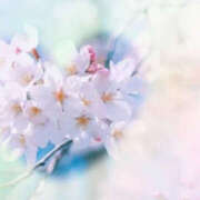 ヒメ日記 2025/03/19 20:47 投稿 こころ アドミsince2002立川デリヘル&Go To FANTASY東京本店