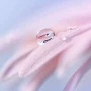 ヒメ日記 2025/04/12 07:30 投稿 こころ アドミsince2002立川デリヘル&Go To FANTASY東京本店