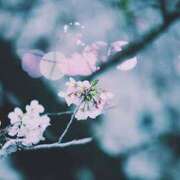 ヒメ日記 2025/04/17 21:55 投稿 こころ アドミsince2002立川デリヘル&Go To FANTASY東京本店