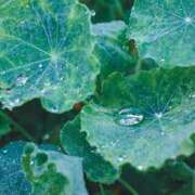 ヒメ日記 2025/04/23 09:34 投稿 こころ アドミsince2002立川デリヘル&Go To FANTASY東京本店