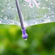 ヒメ日記 2025/05/06 13:47 投稿 こころ アドミsince2002立川デリヘル&Go To FANTASY東京本店