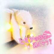 ヒメ日記 2025/07/31 13:14 投稿 こころ アドミsince2002立川デリヘル&Go To FANTASY東京本店