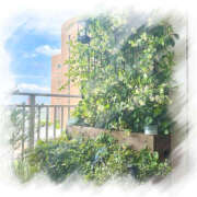 ヒメ日記 2025/08/01 18:00 投稿 こころ アドミsince2002立川デリヘル&Go To FANTASY東京本店