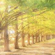 ヒメ日記 2025/09/05 12:00 投稿 こころ アドミsince2002立川デリヘル&Go To FANTASY東京本店