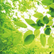 ヒメ日記 2025/09/08 12:00 投稿 こころ アドミsince2002立川デリヘル&Go To FANTASY東京本店