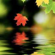 ヒメ日記 2025/09/15 20:35 投稿 こころ アドミsince2002立川デリヘル&Go To FANTASY東京本店