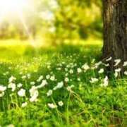 ヒメ日記 2025/09/29 17:00 投稿 こころ アドミsince2002立川デリヘル&Go To FANTASY東京本店