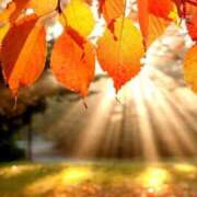 ヒメ日記 2025/09/30 10:00 投稿 こころ アドミsince2002立川デリヘル&Go To FANTASY東京本店