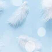 ヒメ日記 2025/11/11 12:00 投稿 こころ アドミsince2002立川デリヘル&Go To FANTASY東京本店