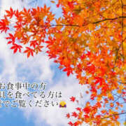 ヒメ日記 2025/11/21 15:05 投稿 こころ アドミsince2002立川デリヘル&Go To FANTASY東京本店