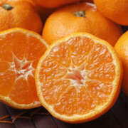 ヒメ日記 2025/12/03 14:45 投稿 こころ アドミsince2002立川デリヘル&Go To FANTASY東京本店