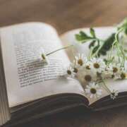 ヒメ日記 2025/12/05 20:31 投稿 こころ アドミsince2002立川デリヘル&Go To FANTASY東京本店