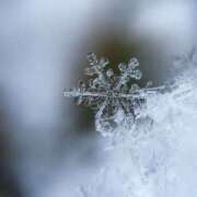 ヒメ日記 2025/12/06 02:00 投稿 こころ アドミsince2002立川デリヘル&Go To FANTASY東京本店