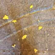 ヒメ日記 2025/12/07 02:00 投稿 こころ アドミsince2002立川デリヘル&Go To FANTASY東京本店