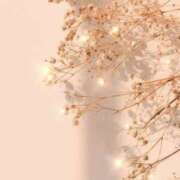 ヒメ日記 2025/12/19 20:45 投稿 こころ アドミsince2002立川デリヘル&Go To FANTASY東京本店