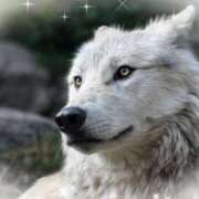 ヒメ日記 2025/12/28 12:10 投稿 こころ アドミsince2002立川デリヘル&Go To FANTASY東京本店